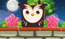 Owl Block image