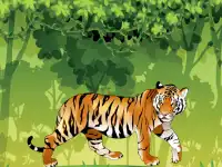 Angry Tiger Coloring image