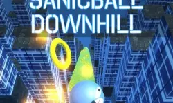 Sanicball Downhill image