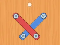 Nuts Bolts Screw Puzzle image