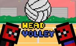 Head Volley image
