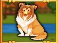 Bernese Mountain Dog Escape image