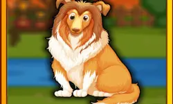 Bernese Mountain Dog Escape image