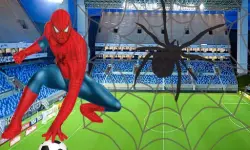 Spidy Soccer image