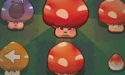 Mushroom Pop image