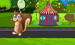 Feed the squirrel image