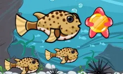 Run Fish Run image