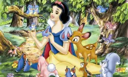 Snow White Hidden Stars image