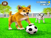 image bg My Virtual Dog Care