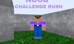 image bg Noob Challenge Rush