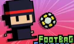 Footbag Fanatic image