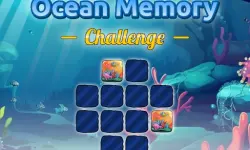 Ocean Memory Challenge image