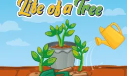 Life of a Tree image