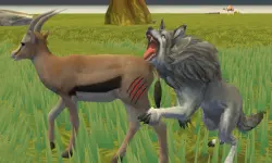 Wolf Life Simulator image