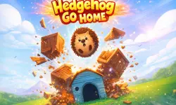 Hedgehog Go Home image