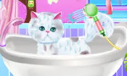 Excellent Pet Groomer image