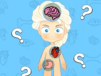 image bg Frozen Learning The Body Online