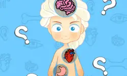 image bg Frozen Learning The Body Online