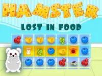 Hamster Lost In Food image