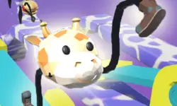 Drawer And Race image