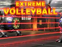 image bg Extreme Volleyball