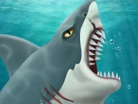 Shark Attack-Casual image