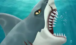Shark Attack-Casual image