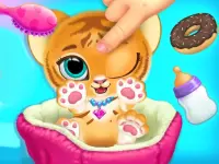Baby Tiger Care image