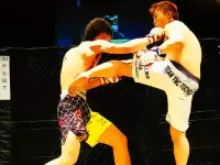 UFC Fighting Match Jigsaw image