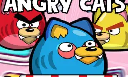 Angry Cats image