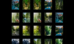 image bg memorize nature