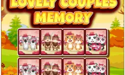 Lovely Couples Memory image