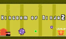Kingdom of Ninja 2 image