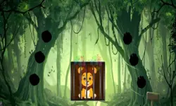 Rescue The Lion Cub image