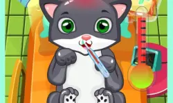 Cat Doctor image