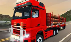 City Truck Driver image