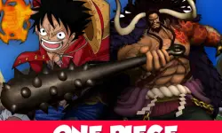 One Piece 3D Game image