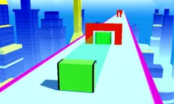 True Shape Puzzle image