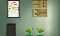 Painter Boy escape image