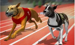 Racing Dog Simulator : Crazy Dog Racing Games image