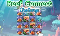 Reef Connect Challenge image