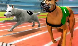 Dogs3D Races image