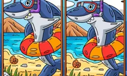 image bg Marine Spot The Difference