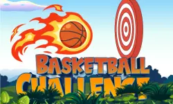 Basketball Challenge Online Game image