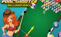 Pool Shooter : Billiard Ball image