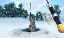 Ice Fishing image