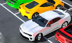 Real Advance Car parking image
