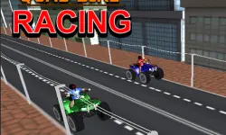 Quad Bike Racing image