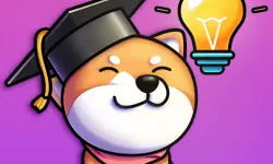 Brain Find: Can you find it? image