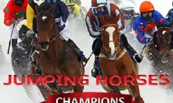 JUMPING HORSES CHAMPIONS image